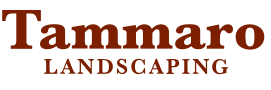 light logo